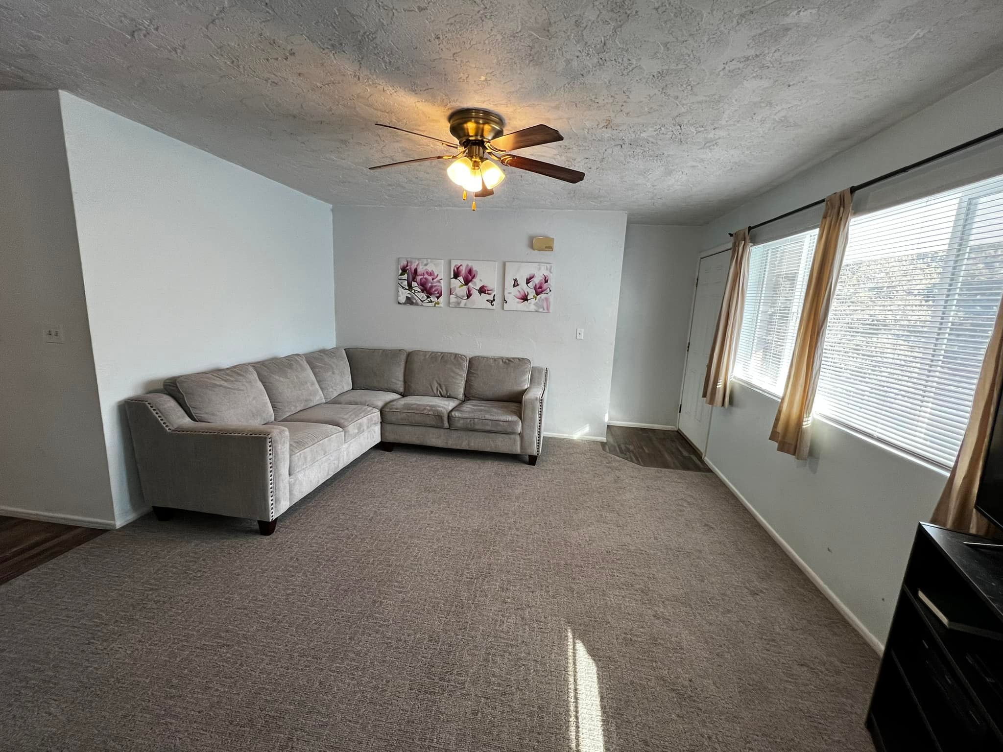 Lofts Apt 1 Family Room.jpg